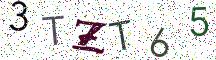 3TZT65