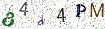 84d4PM