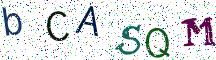 bCASQM