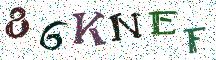 86KNEF