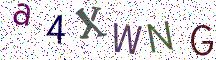 a4XWNG