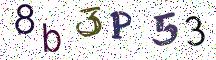 8b3P53