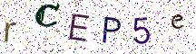 rCEP5e