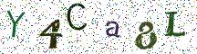 Y4Ca8L