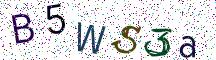 B5WS3a