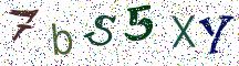 7bS5XY