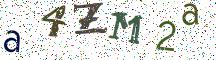 a4ZM2a