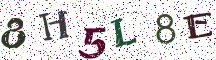 8H5L8E