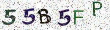 55B5FP