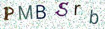 PMBSrb
