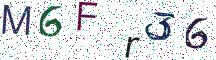 M6Fr36