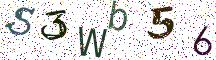 S3Wb56