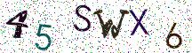 45SWX6