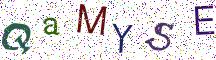 QaMYSE