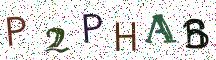 P2PHAB