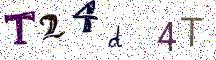 T24d4T