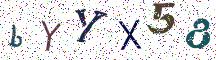 bYYX58
