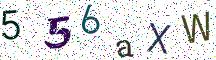 556aXW