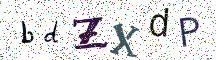 bdZXdP