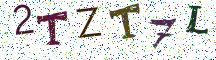 2TZT7L
