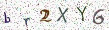 br2XY6
