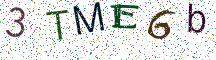 3TME6b