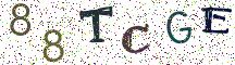 88TCGE