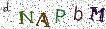 dNAPbM
