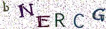 bNERCG