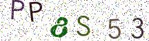 PP8S53