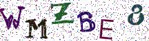 WMZBE8