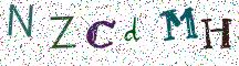 NZCdMH