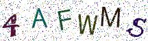 4AFWMS