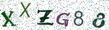 XXZG88