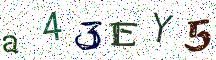 a43EY5