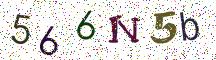 566N5b