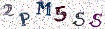 2PM5SS