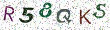 R58QKS