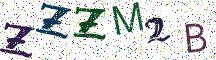 ZZZM2B