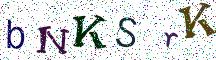 bNKSrK