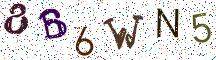 8B6WN5