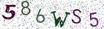 586WS5