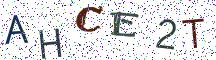 AHCE2T