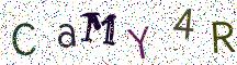 CaMY4R