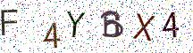 F4YBX4
