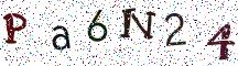 Pa6N24