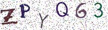 ZPYQ63