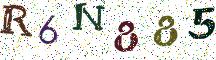 R6N885