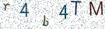 r4b4TM