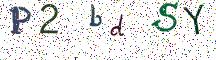 P2bdSY